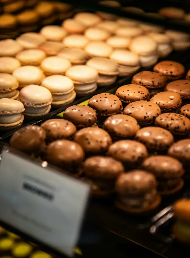 Swiss Chocolate (Premium)